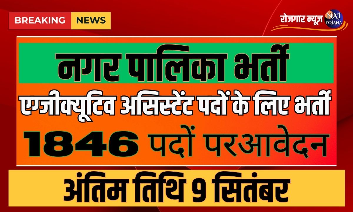Nagar Palika Vacancy 2024 : नगर पालिका ने निकली ढेरों भर्तियां, सभी फार्म भरने वालो को ही मिलेगी जॉब 1 Nagar Palika Vacancy 2024