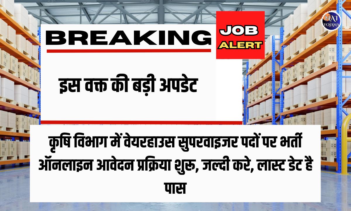 Warehouse Supervisor Recruitment 2024: ऑनलाइन आवेदन प्रक्रिया शुरू, जल्दी करे, लास्ट डेट है पास 1 Warehouse Supervisor Recruitment