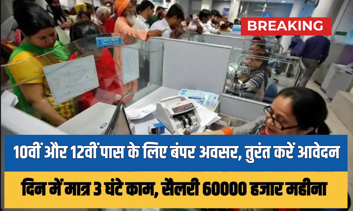 University Non-Teaching LDC Vacancy 2024: 10वीं और 12वीं पास के लिए बंपर अवसर, तुरंत करें आवेदन 1 University Non-Teaching LDC Vacancy