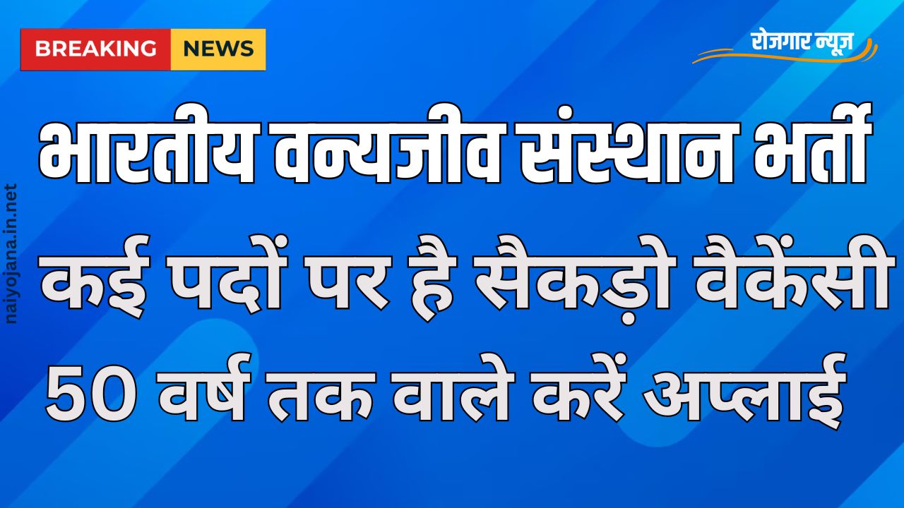 मंथली सैलरी 50 हजार से ऊपर, WII ने निकली कई पदों पर निकाली भर्ती, उम्र की कोई सीमा नहीं 1 मंथली सैलरी 50 हजार से ऊपर, WII ने निकली कई पदों पर निकाली भर्ती, उम्र की कोई सीमा नहीं