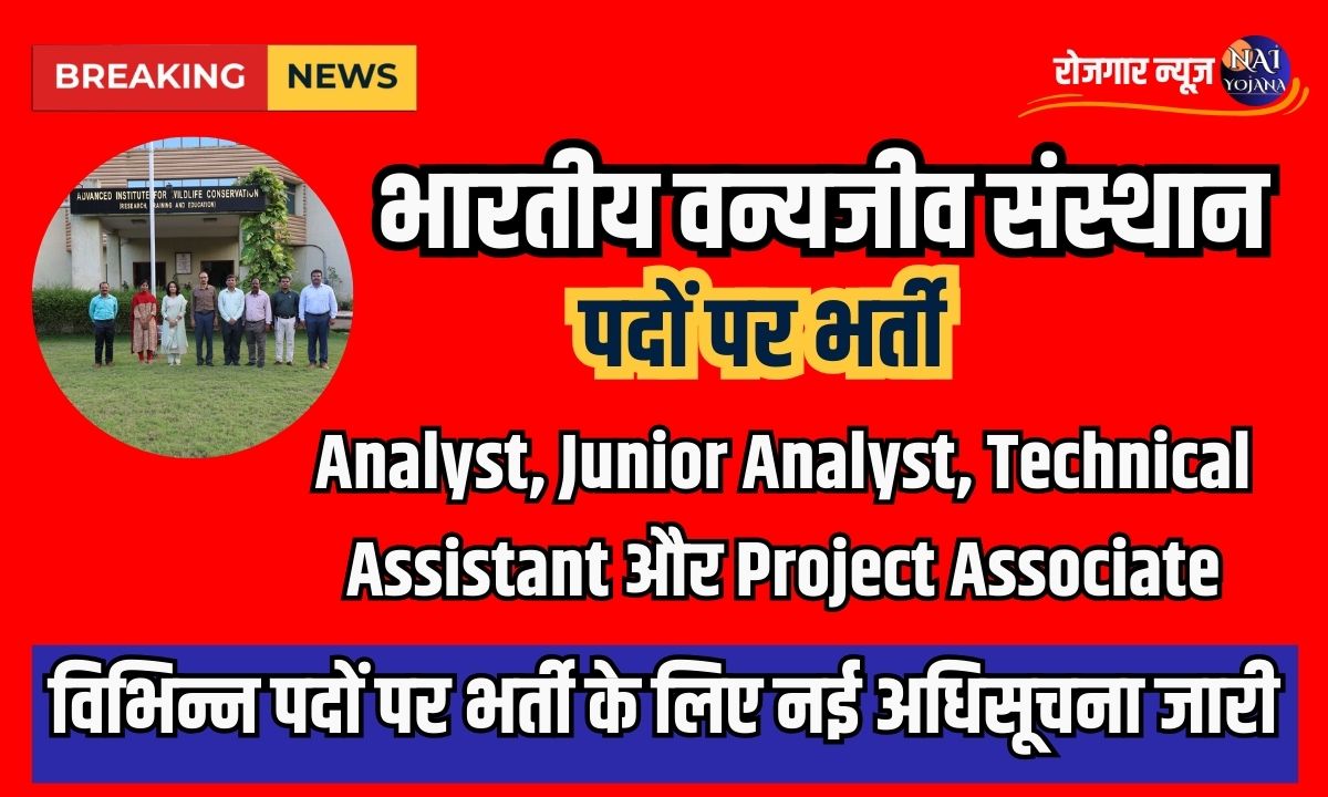 Wildlife Institute Recruitment 2024 : आवेदन प्रक्रिया है आसान, फटाफट करें अप्लाई 1 Wildlife Institute Recruitment 2024