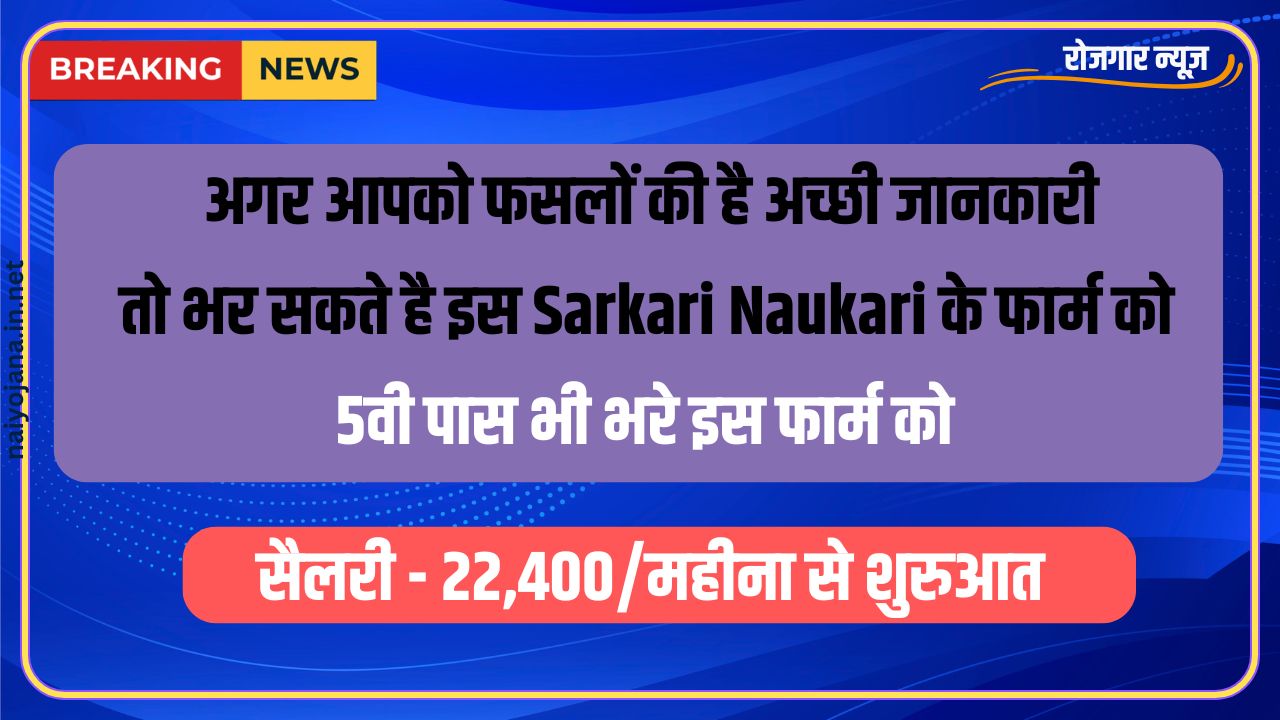 अगर आपको फसलों की है अच्छी जानकारी, तो भर सकते है इस Sarkari Naukari के फार्म को 1 Agriculture Warehouse Worker Vacancy