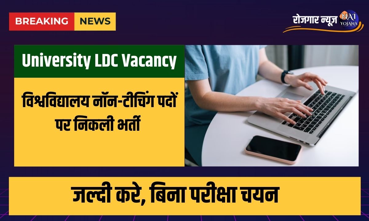 University LDC Vacancy for non-teaching posts 2024 : जल्दी करे, बिना परीक्षा चयन 1 University LDC Vacancy for non-teaching posts 2024